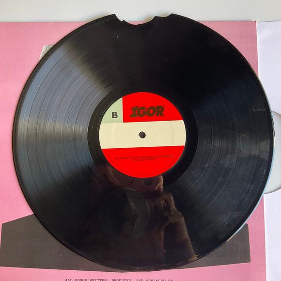 Vinyl Igor, cracked, for parts only! - Picture 5 of 9